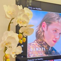 Cozy 1BR Condo near Airport Davao City