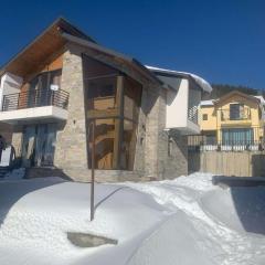 Cozy cottage in Bakuriani