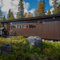 Trysilfjellet Sør 17