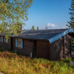 Trysilfjellet Sør 204