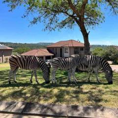 Wild Antelope on your doorstep!