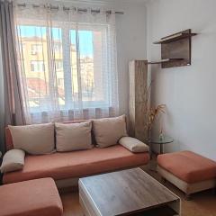 Spacious, Comfortable Top Central Apartment