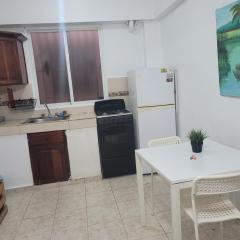 Fantastic apartment 1Rooms zona colonial