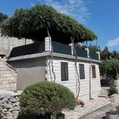 Cozy Robinson Crusoe-Style House