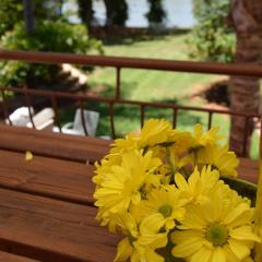 Islandview House Upington