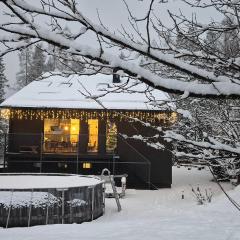 Willa Czaremka - sauna, basen, kino, bilard, bawialnia