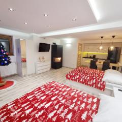 APARTAMENT Z KOMINKIEM Z WIDOKIEM na Jezioro Czorsztyńskie