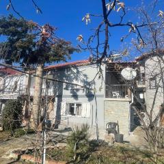 Vila Tradicionale Violeta Korce