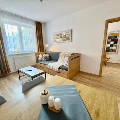 Apartmán 4 - u PAC-MANa - Rezidence K Lanovce