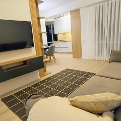 Comfort Apartment