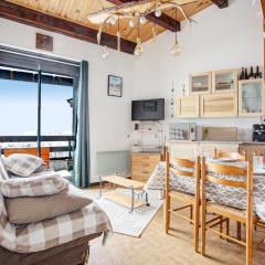 La Singlantane - Duplex vue montagne aux Angles