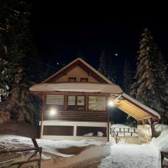 Winter cottage TT