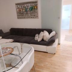 FAMILY APARTMENT ZRNKA s besplatnim parkingom