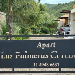 Apart Las Palmeras Corcovado