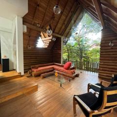 The Forest's Last Stand - Galle