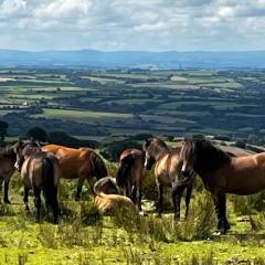 Cosy Nook thatched cottage with Exmoor views