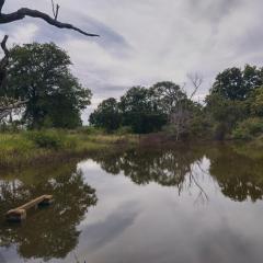 Nature Kingdom Sri Lanka