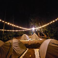 Tropical camping