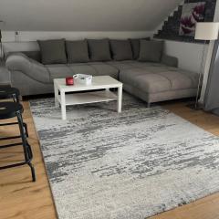 House in Village apartman Jelić