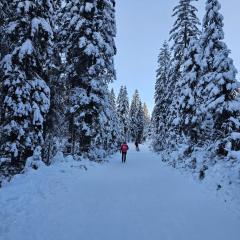 Panoramablick Exklusiv