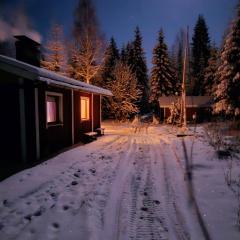 Peacfull cottage in middle of forest