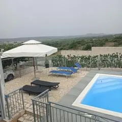 Oaza mira