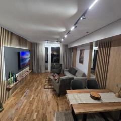 RIO DELUXE A1-8 - ApartHotel Vucko - Private Host