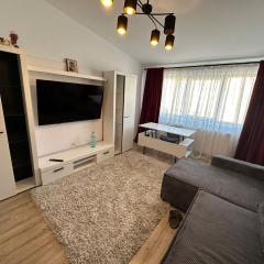 Zlata Comfort Apartment