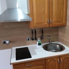 estudio con cocina y baño privado, uso del ATICO OPCIONAL