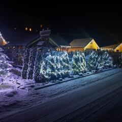 Drewniany Domek Daria i Tomek 2 domki na 8 osób