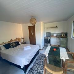 CABAÑAS EL ZORZAL Sauce de Portezuelo