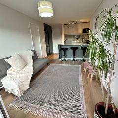 Arriendo departamento 2 dormitorios - Con o Sin Factura