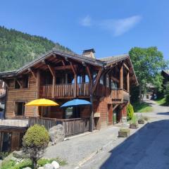 Chalet Robin - spa- multipass- terrain de pétanque