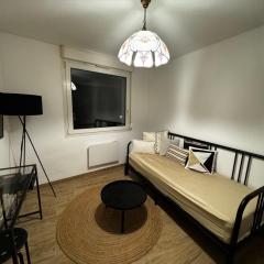 Le Sarsour Appartement Strasbourg Centre