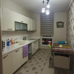ENTIRE 3 Bedroom Apartment with FREE PARKING