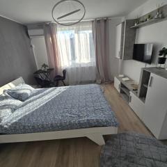 Garsoniera - moderna - Timișoara