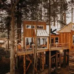 Treehouse-Small Eagles Perch over the water