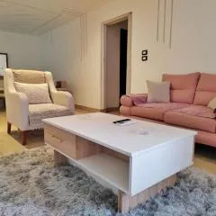 Apartment At Nasr city