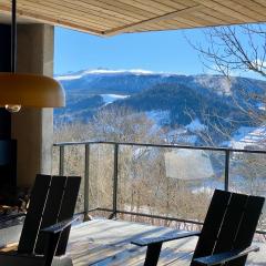 L'Avancée Chalet contemporain au coeur du Sancy AUVERGNE