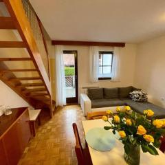 Terme Čatež apartma Maestro