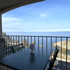 Appart 2 pièces 4 couchages BANYULS SUR MER BN120-4206