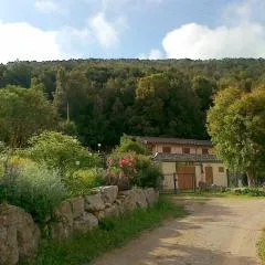 L' Amabile Geko