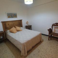 Departamento en Peatonal 83