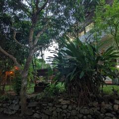 Mango tree view holiday house