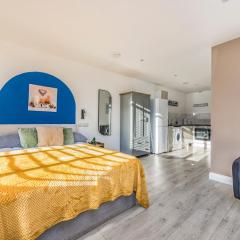 Contemporary Modern Studio