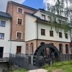 Feltlův mlýn v Borovnici