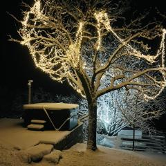 FW Aussicht Fam Sigl