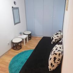 Small low cost Dorcol