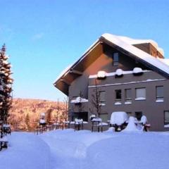 Wellness Apartment Josefina - Free Grotta Spa wellness