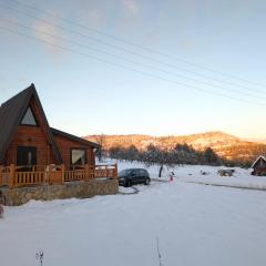 AA Pine vikendica za izdavanje u srcu Zapadne Srbije